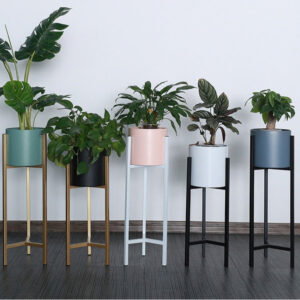 Chroma Stand Collection