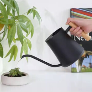 Decorative straight-edged Watering Kettle