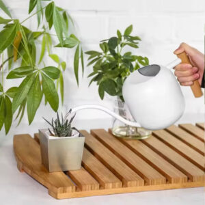Decorative round-edged Watering Kettle
